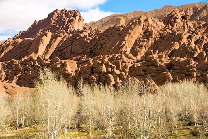 Отель Kasbah Ait Arbi Ait Ougliff Экстерьер фото