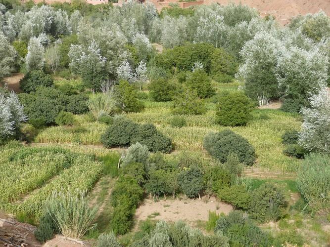 Отель Kasbah Ait Arbi Ait Ougliff Экстерьер фото